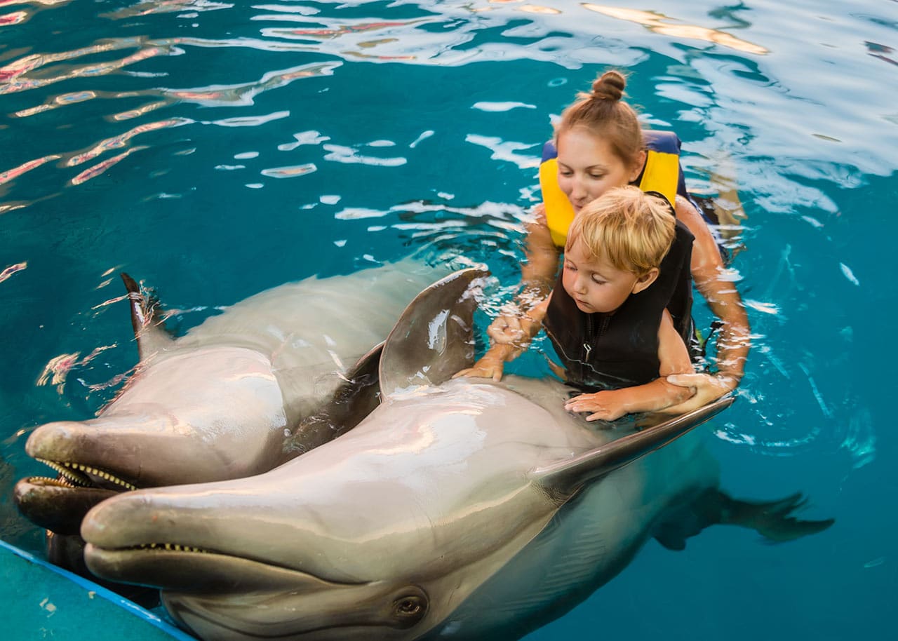 All-inclusive Family Vacations: Grand Palladium Bávaro Dolphin Discovery