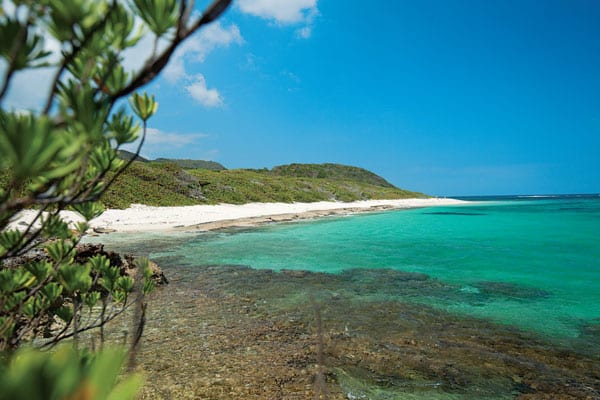 secret caribbean island-anse-feuillard,guadeloupe