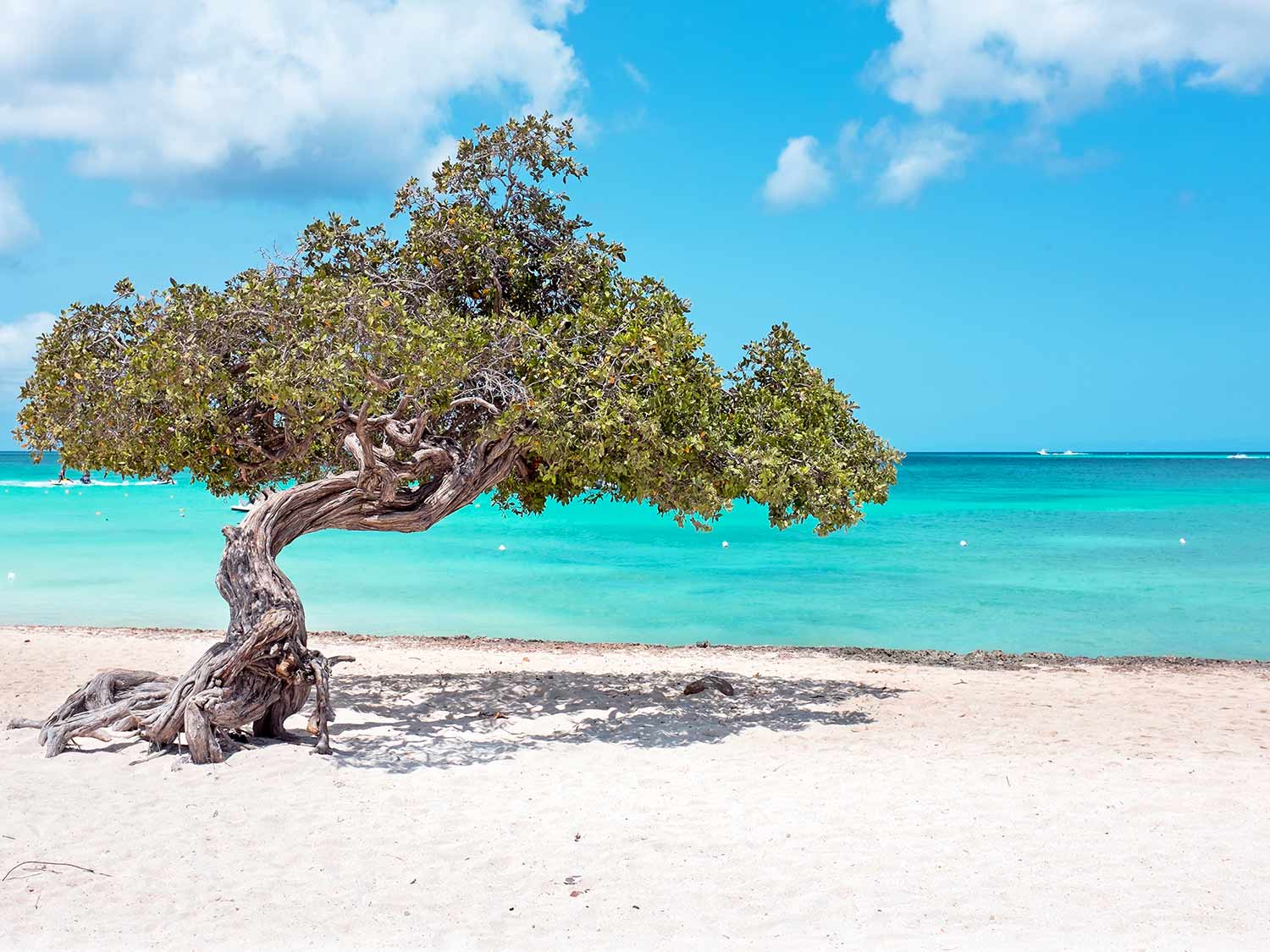 Aruba beach