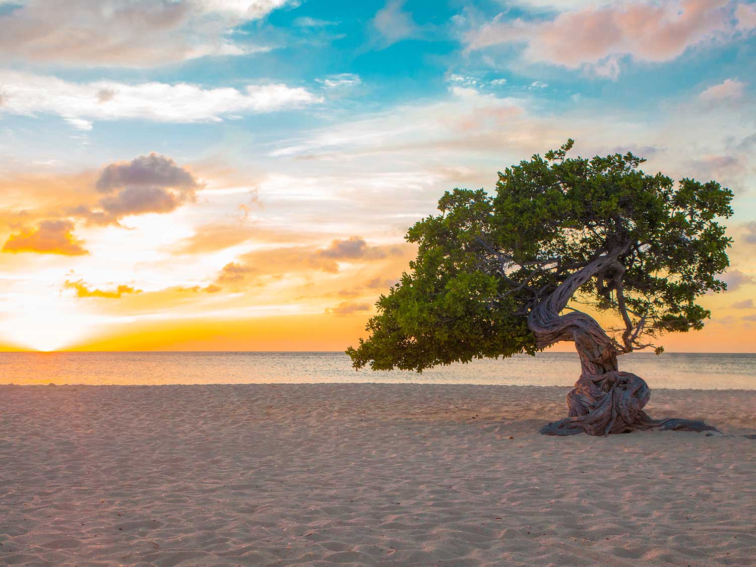 Aruba