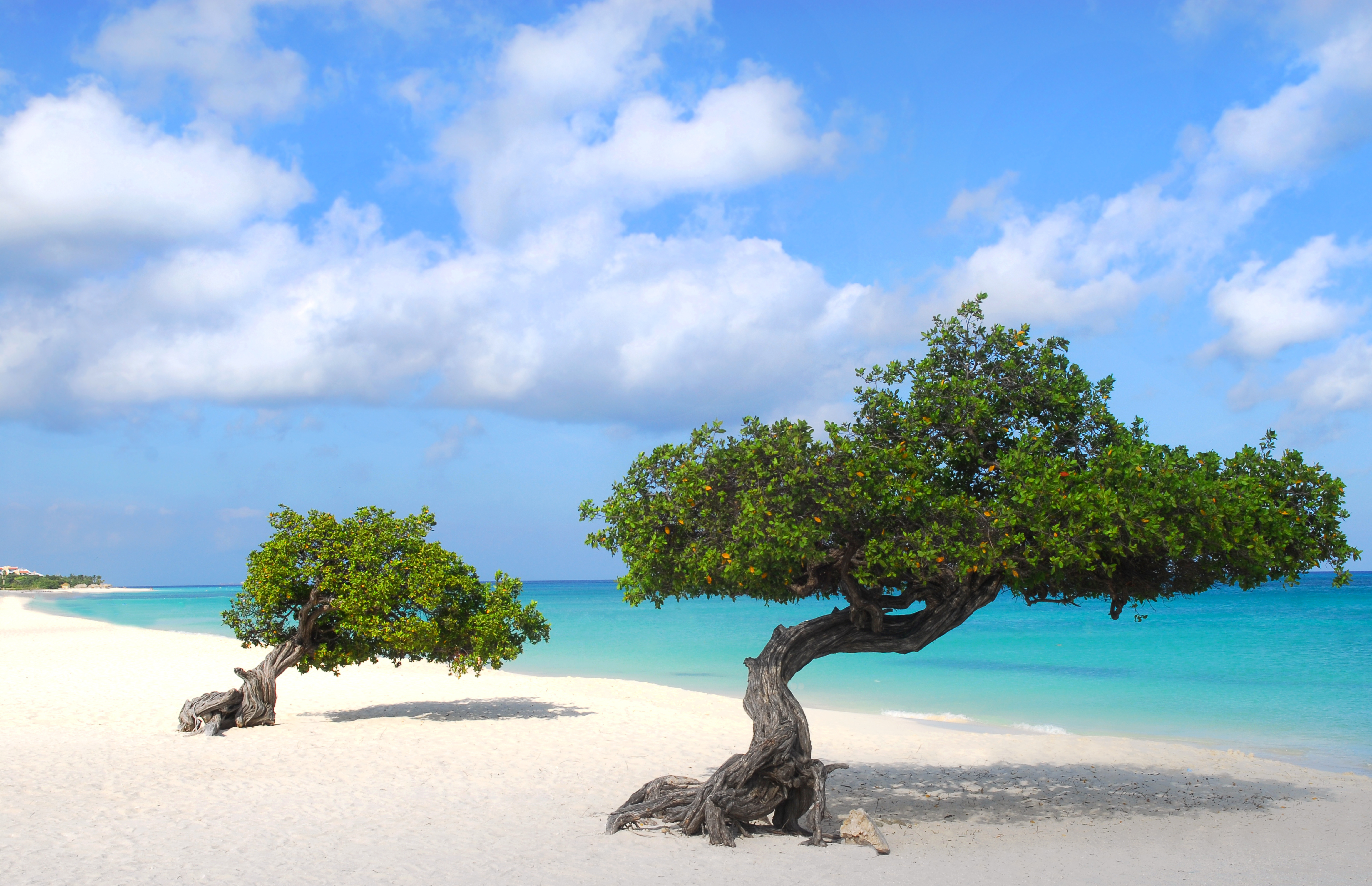 Easy and Exotic Escapes with Nonstop Flights | Aruba