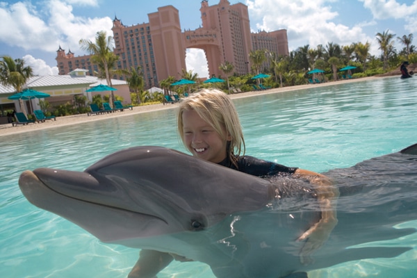 atlantis dolphin interaction