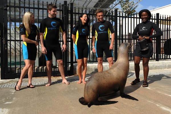 atlantis sea lion interaction