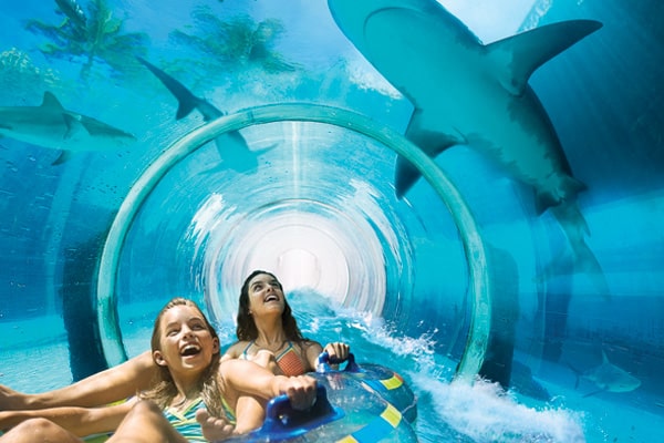 atlantis serpent slide