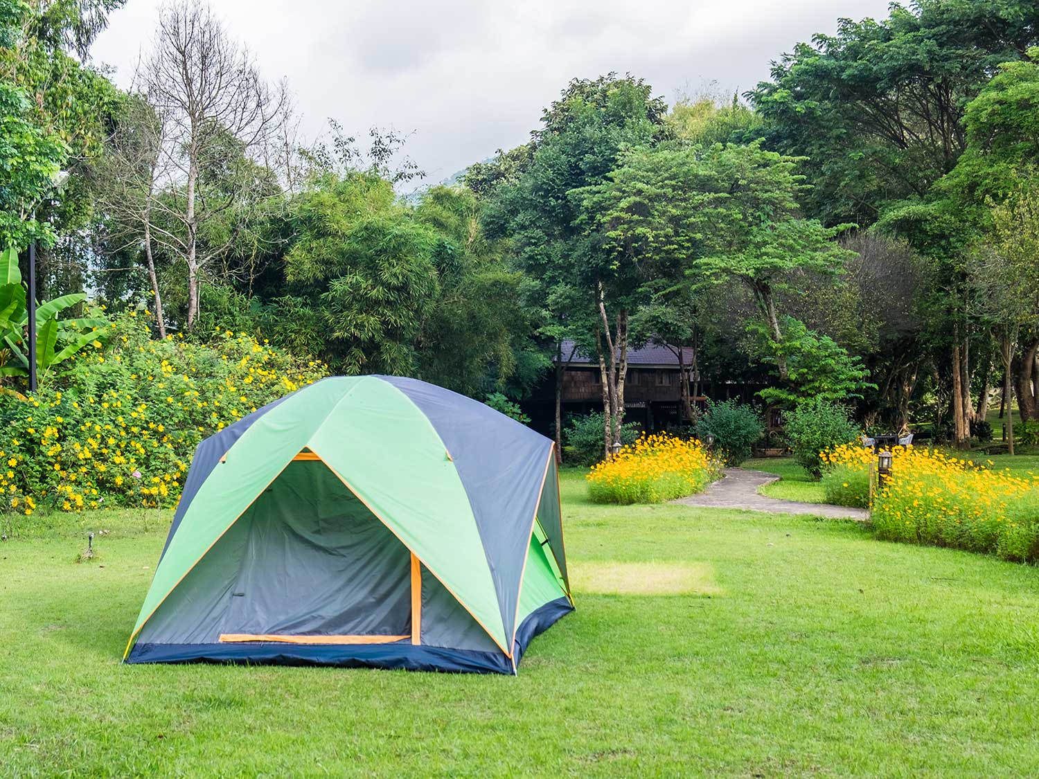 backyard camping shutterstock