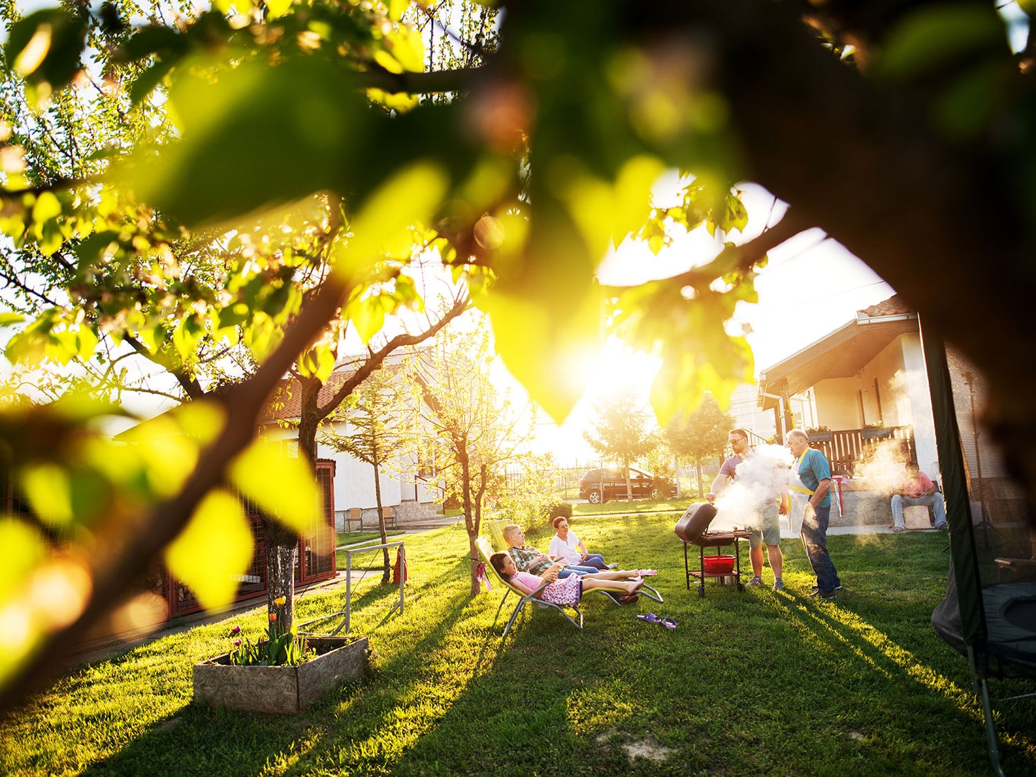 backyard bbq