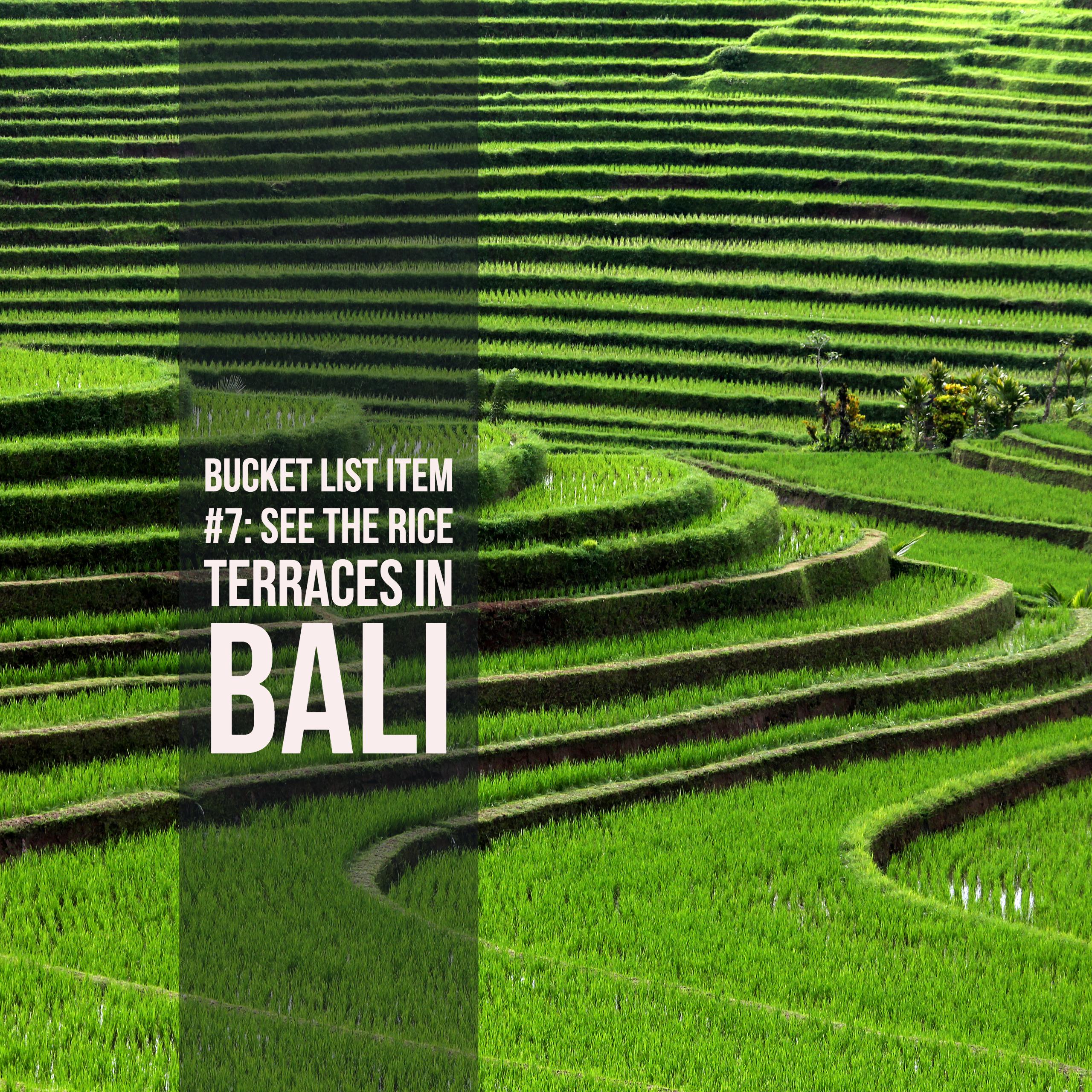 Bucket List Ideas: Rice paddies in Bali