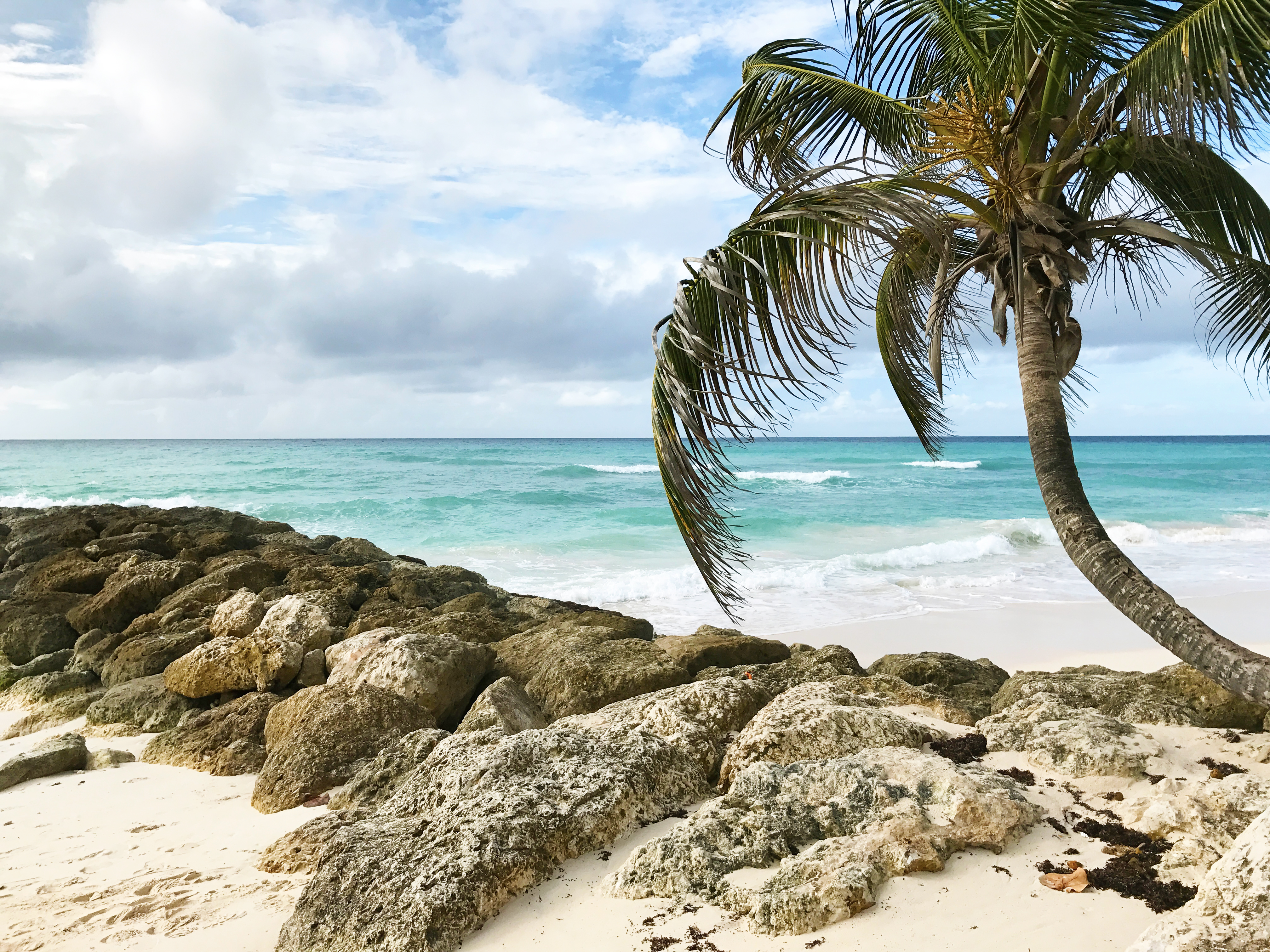 turtle-beach-barbados