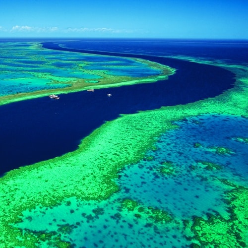 Great Barrier Reef Resort