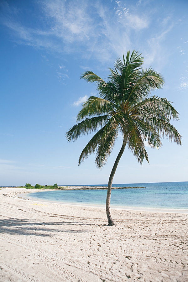beach tree atlantis resort bahamas