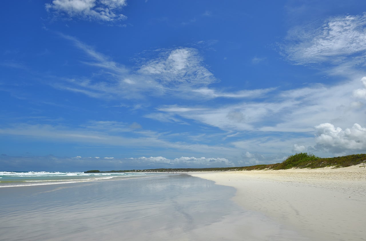 Best Beaches in the World: Tortuga Bay Beach