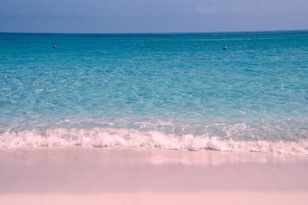 Best Beaches in the World: Pink Sands Beach