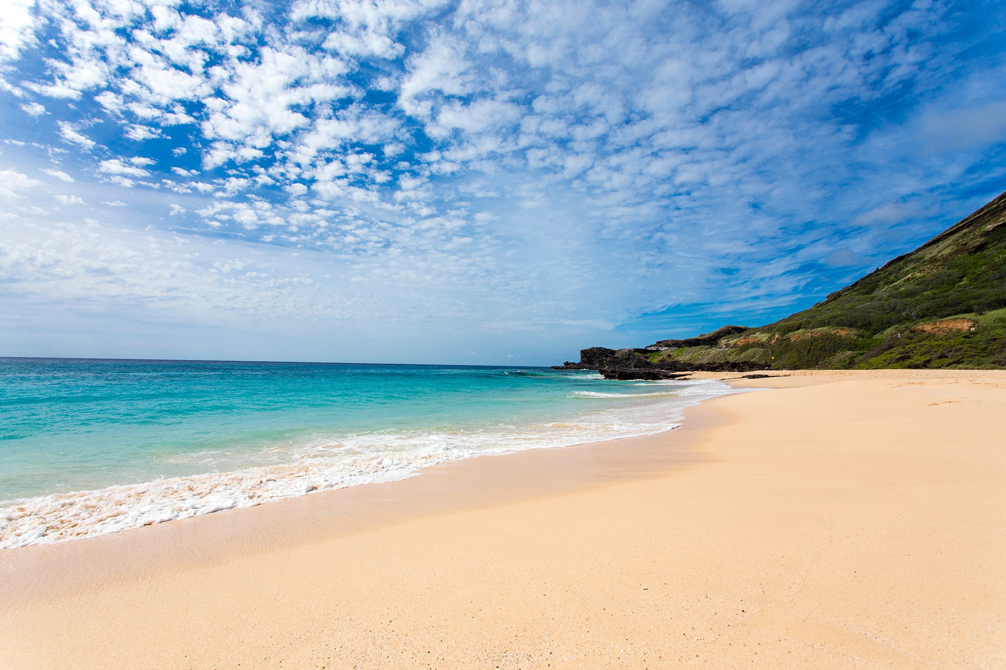 Best beaches in Oahu: Sandy Beach