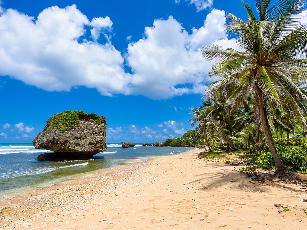 Best Beaches in the Caribbean: Bathsheba, Barbados
