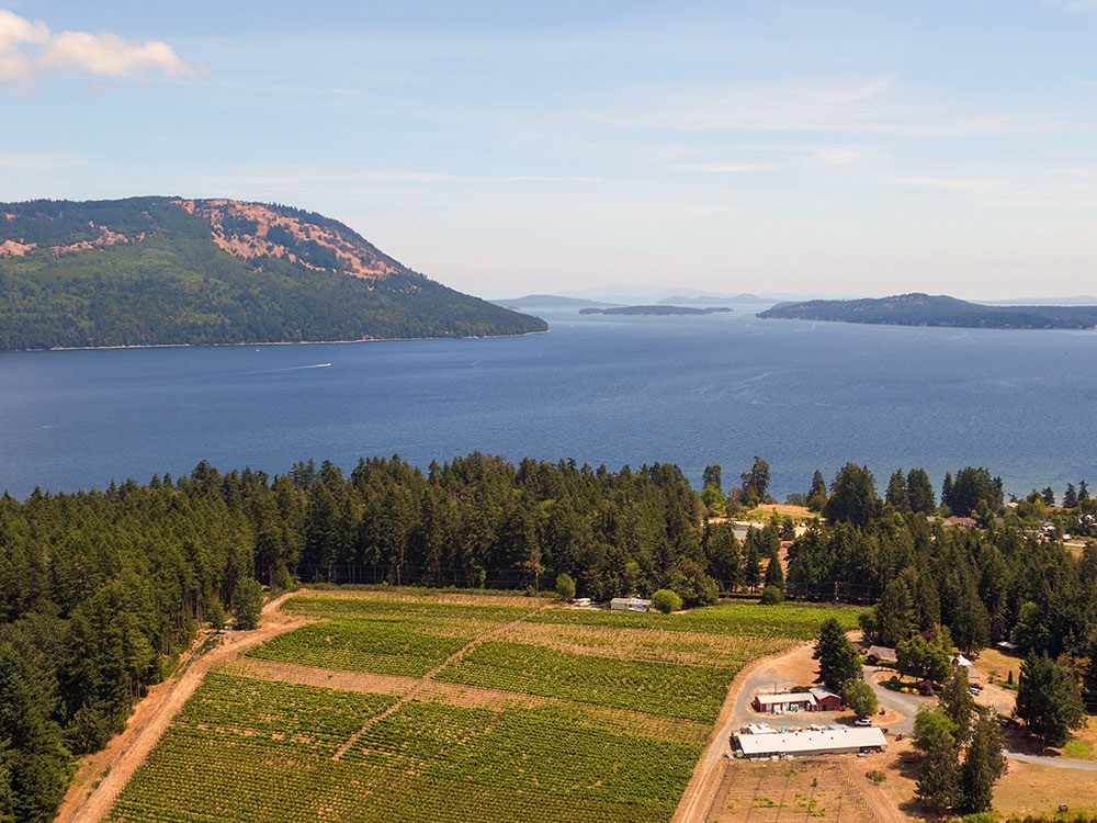 Best Islands for Wine Tasting: Okanagan Valley