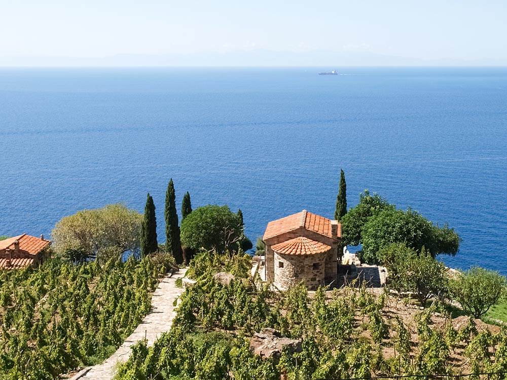 Best Islands for Wine Tasting: Elba, Italy