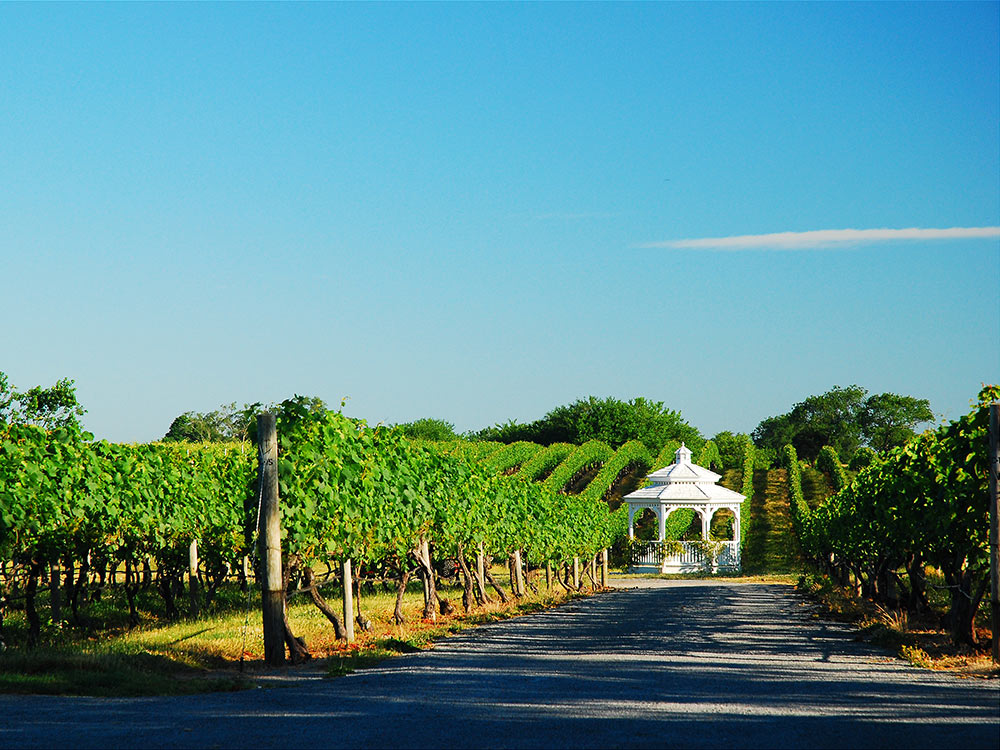 Best Islands for Wine Tasting: Long Island, New York