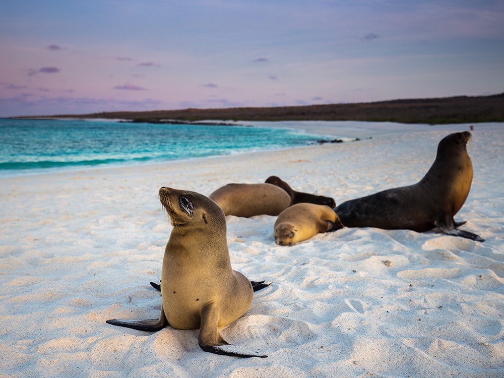 Best places to travel in 2019: Galapagos Islands