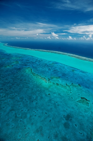 best-snorkel-spot-belize.jpg