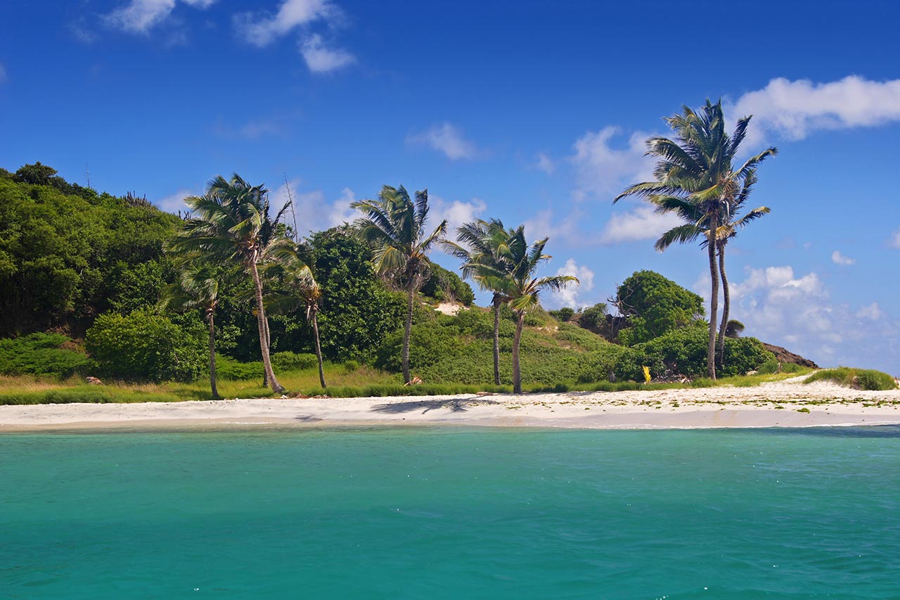 Best Snorkeling in the Caribbean: Tobago Cays Marine Park