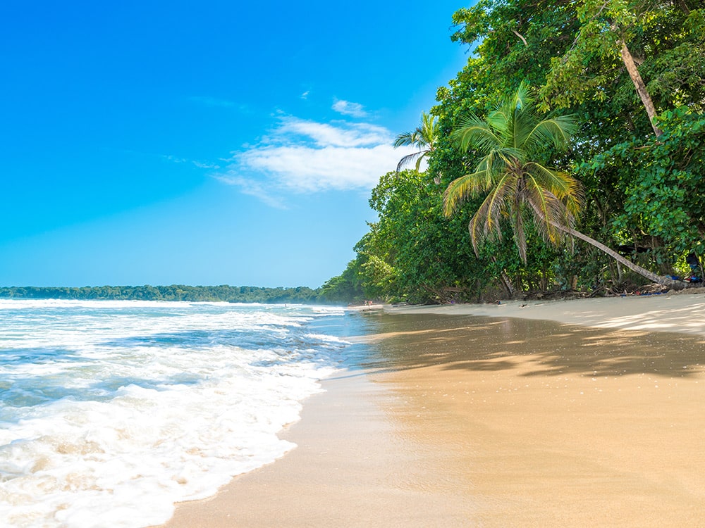 Cahuito and Manzanillo, Costa Rica