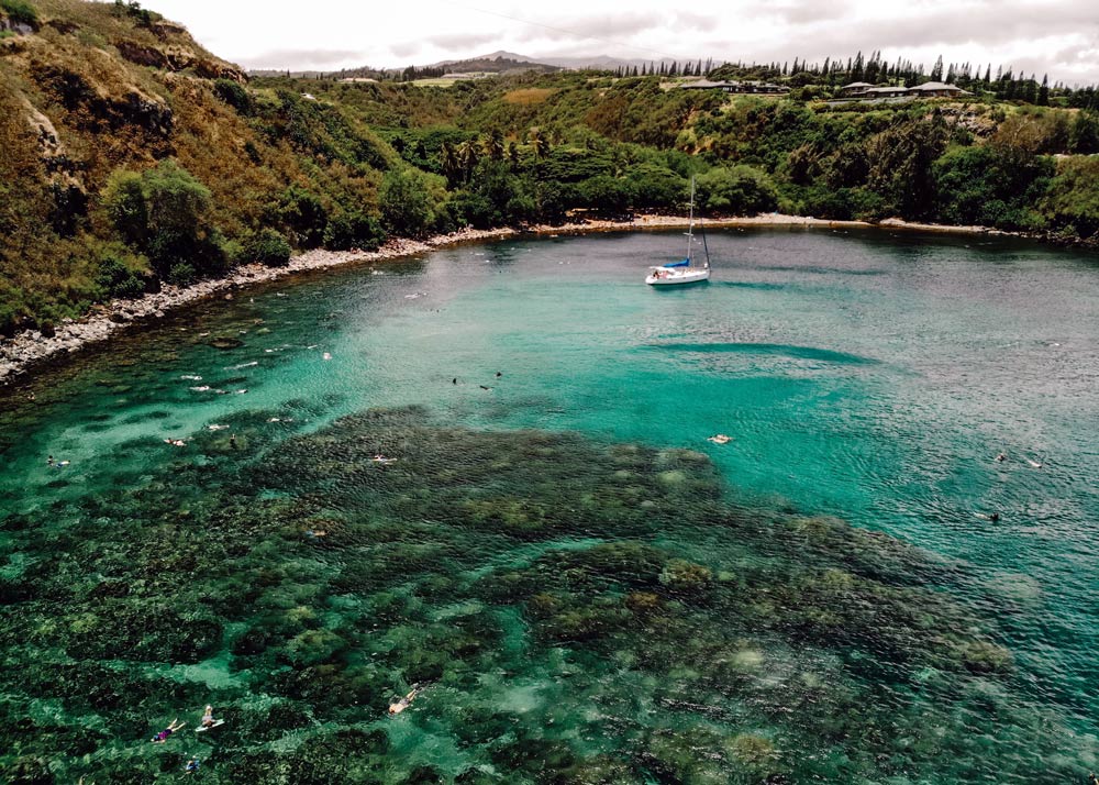 Best Snorkeling in Maui Honolua Bay