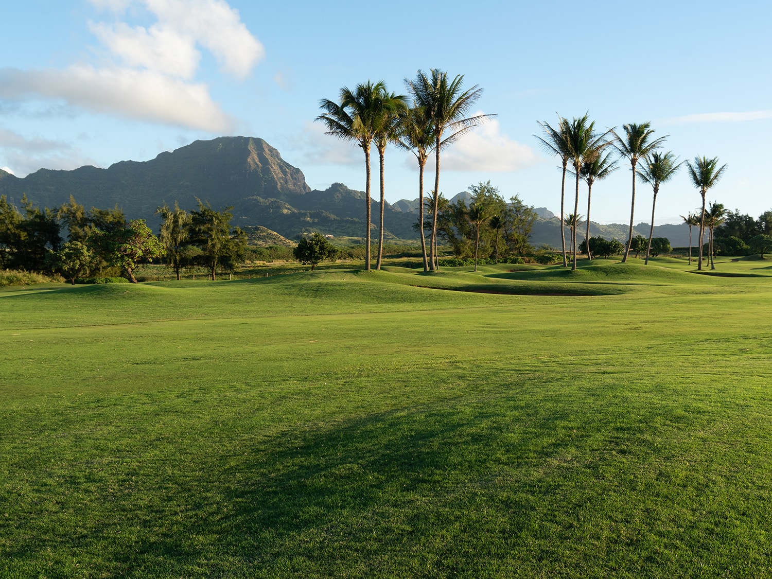Best things to do in Kauai, Hawaii - Playing golf at the Poipu Bay Golf Course