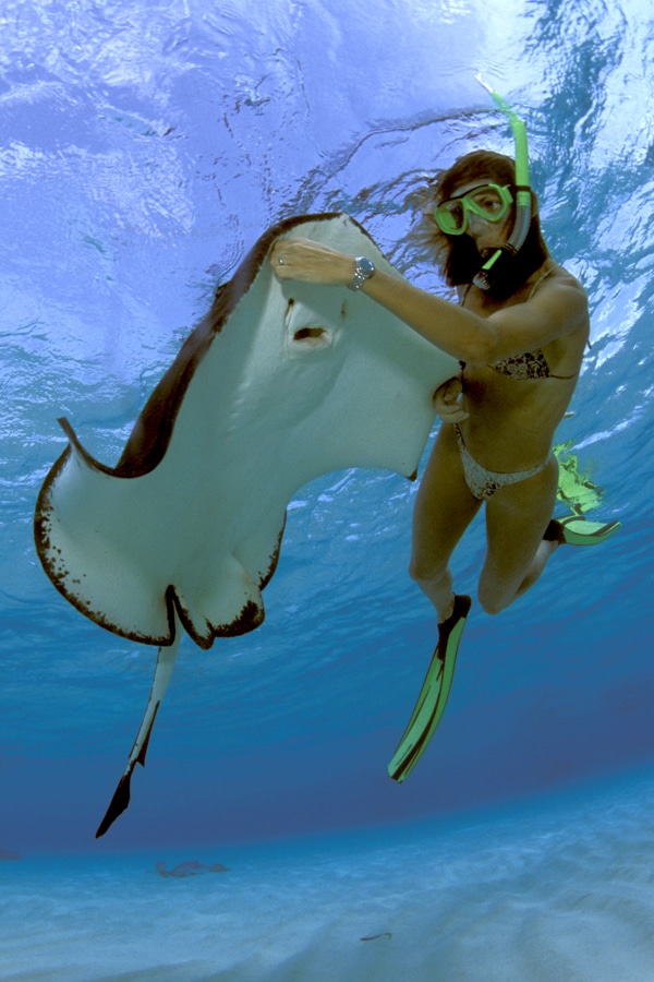 best caribbean snorkeling spots stingray city grand cayman