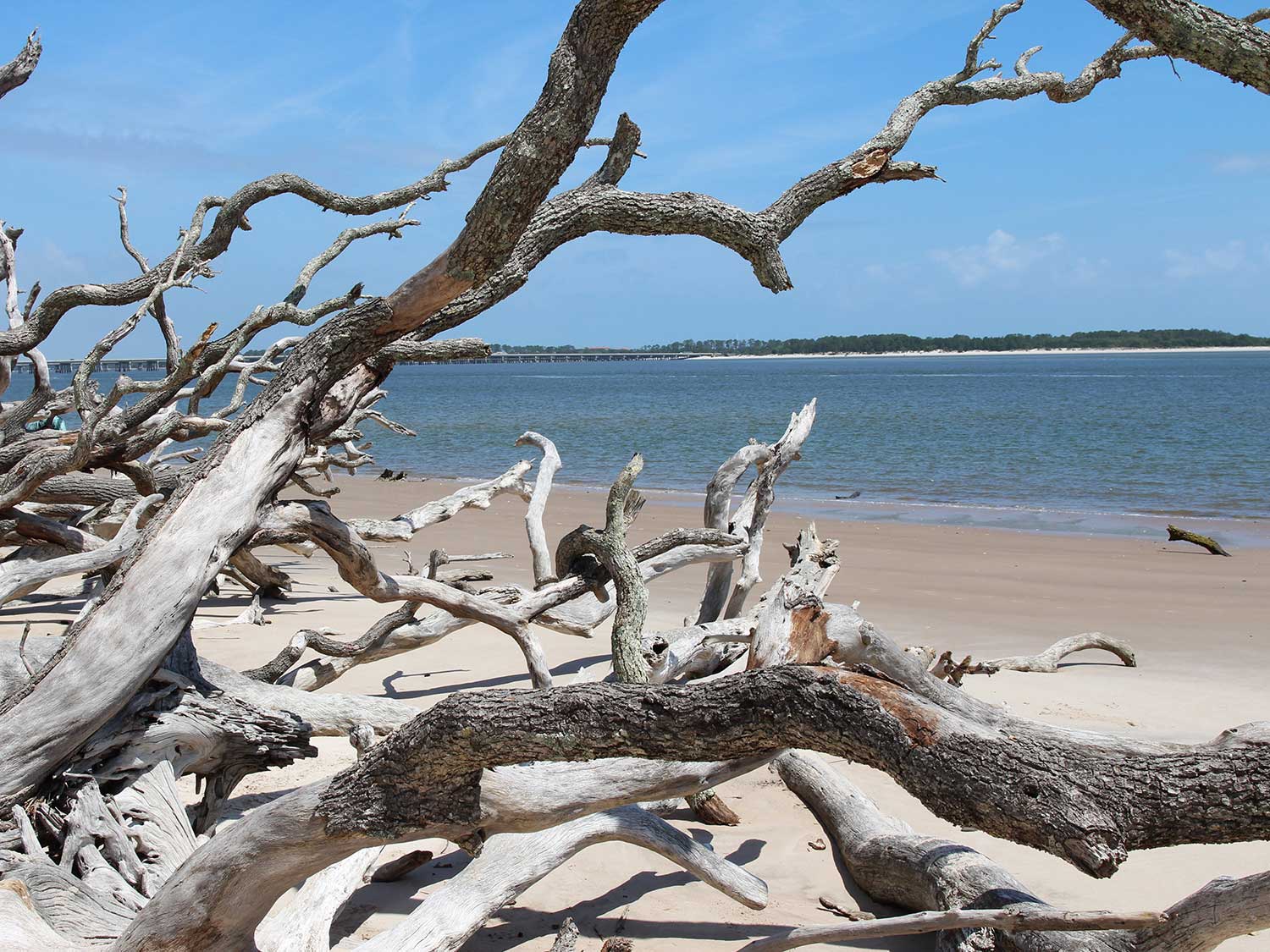 Talbot Island