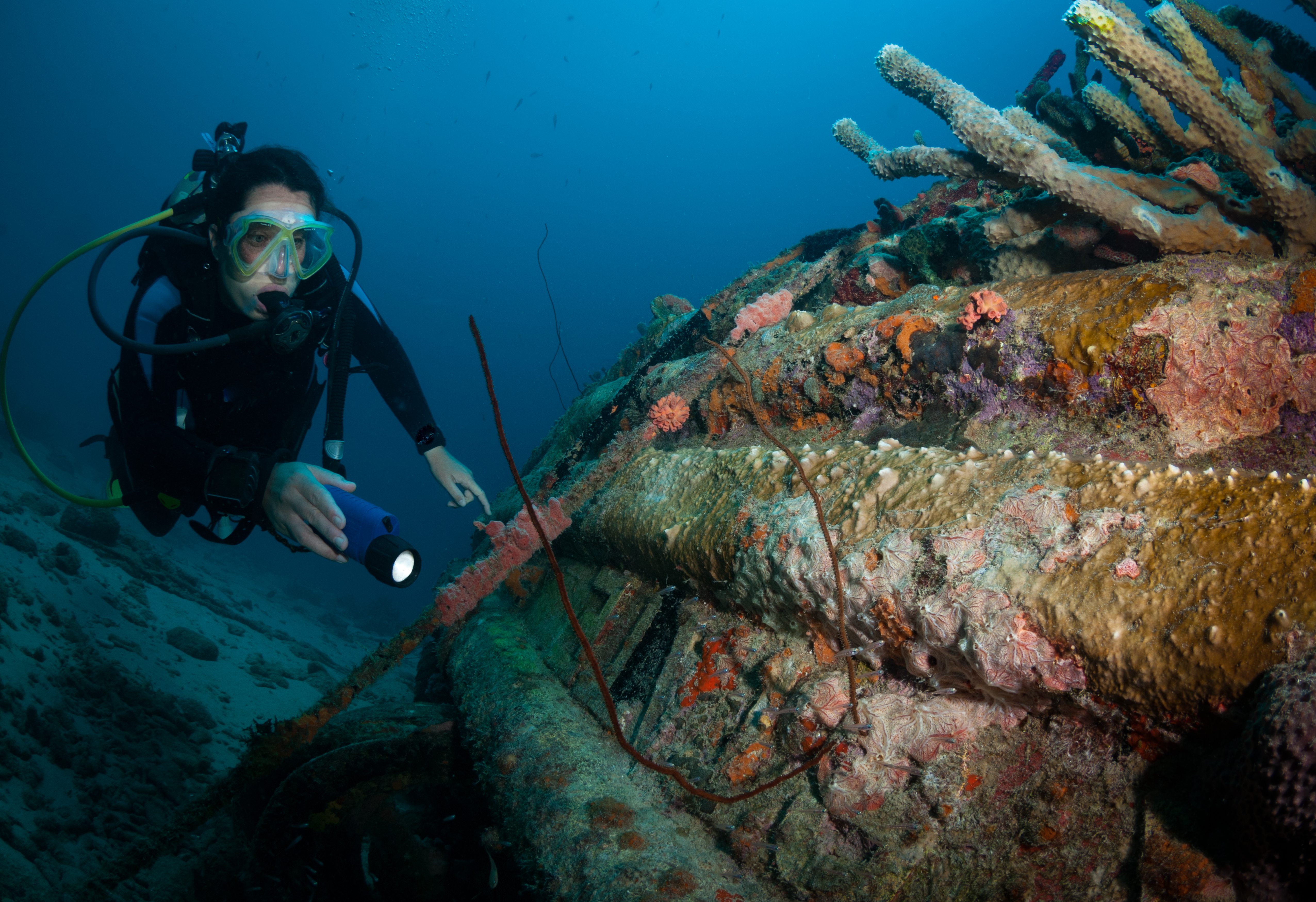 dive-bonaire