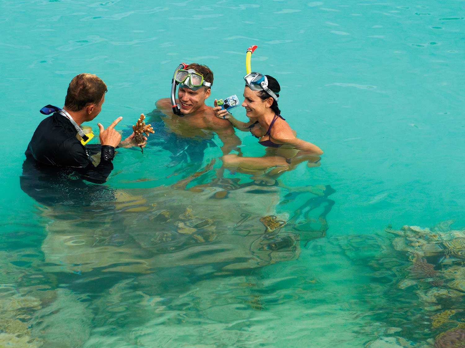 Four Seasons Bora Bora  snorkeling