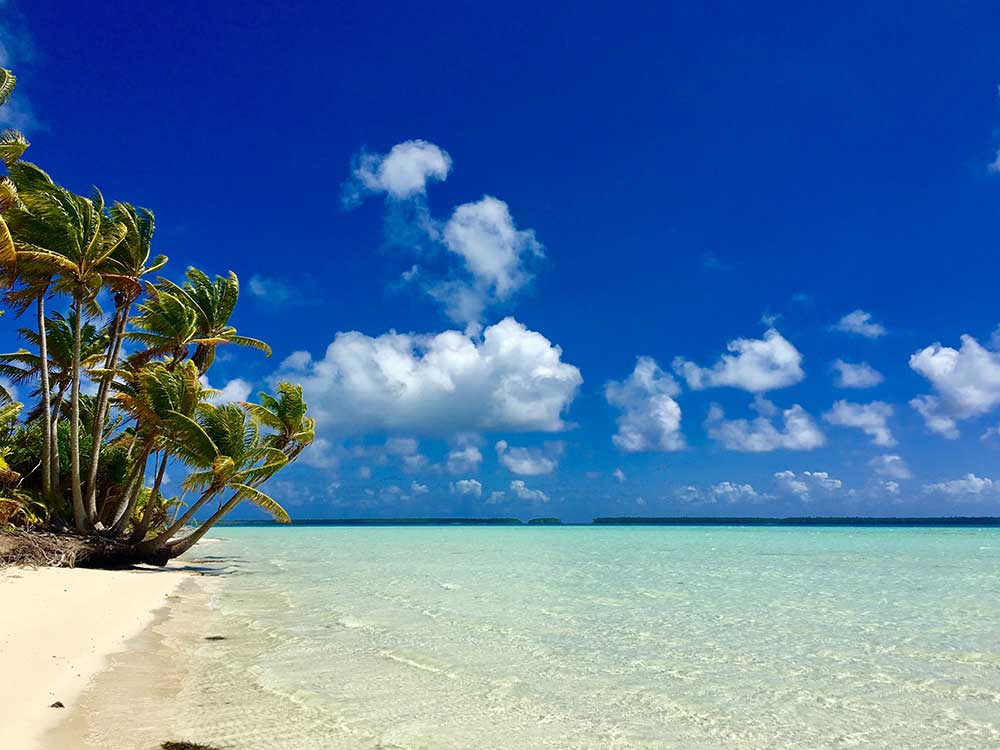 Visit Teti'aroa Bora Bora on a snorkeling excursion.