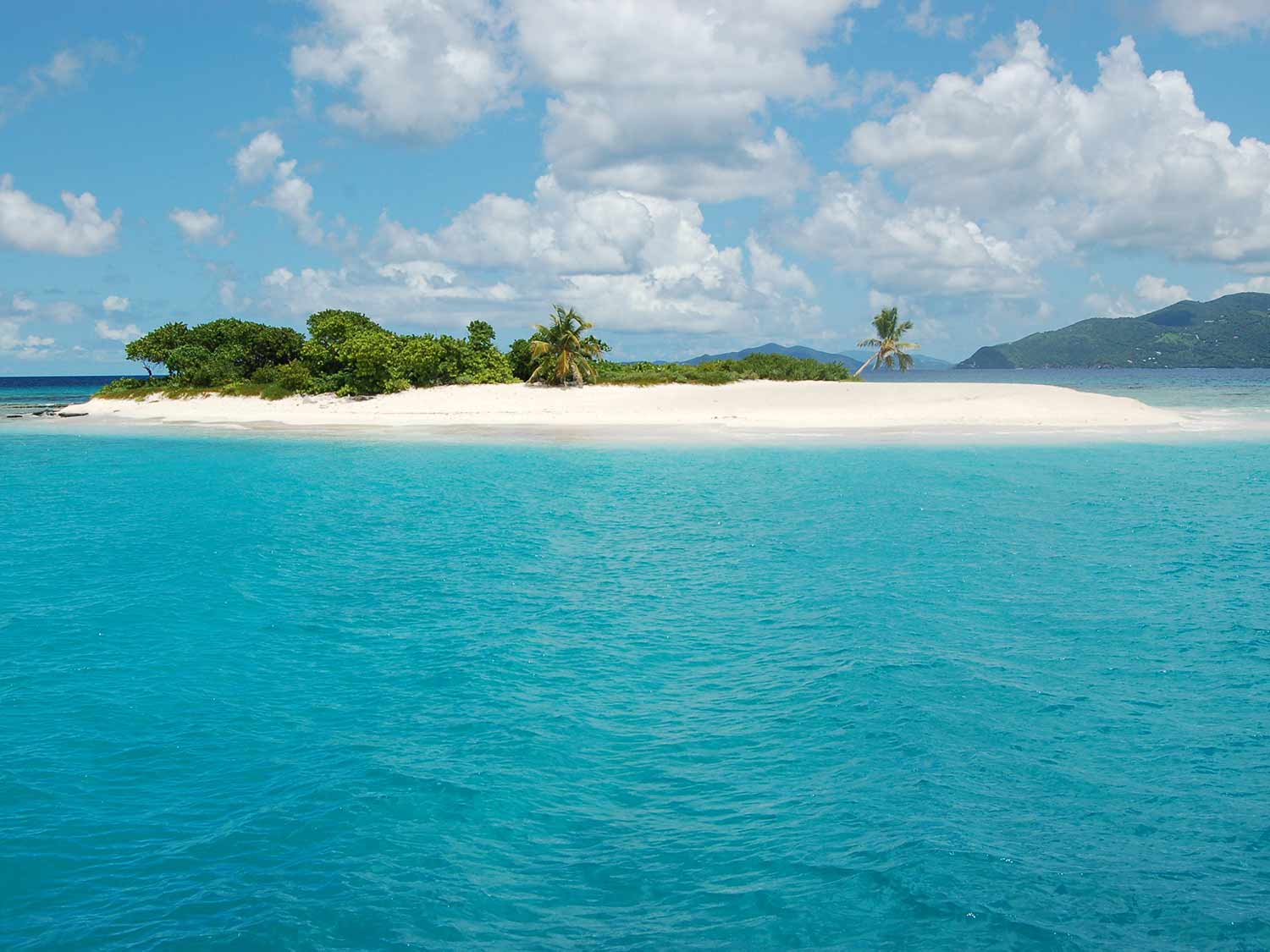 Sandy Spit’s beaches and small size make for the perfect day trip British Virgin Islands