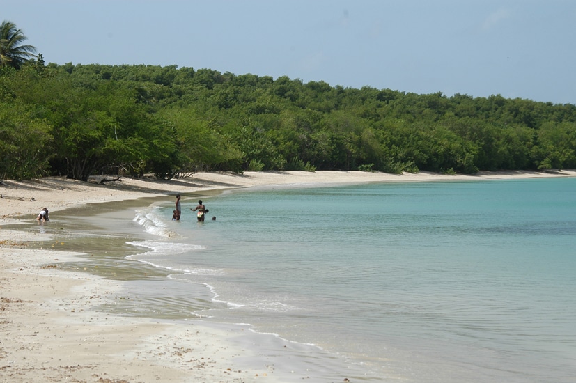 Tempting Tobago: Buccoo Beach