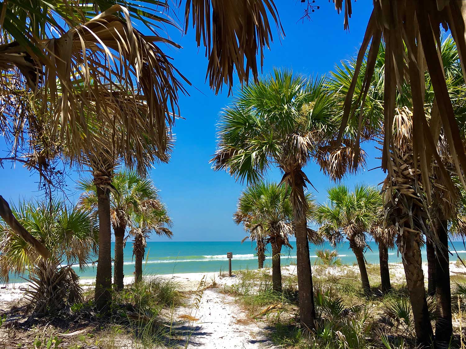 Caladesi Island State Park