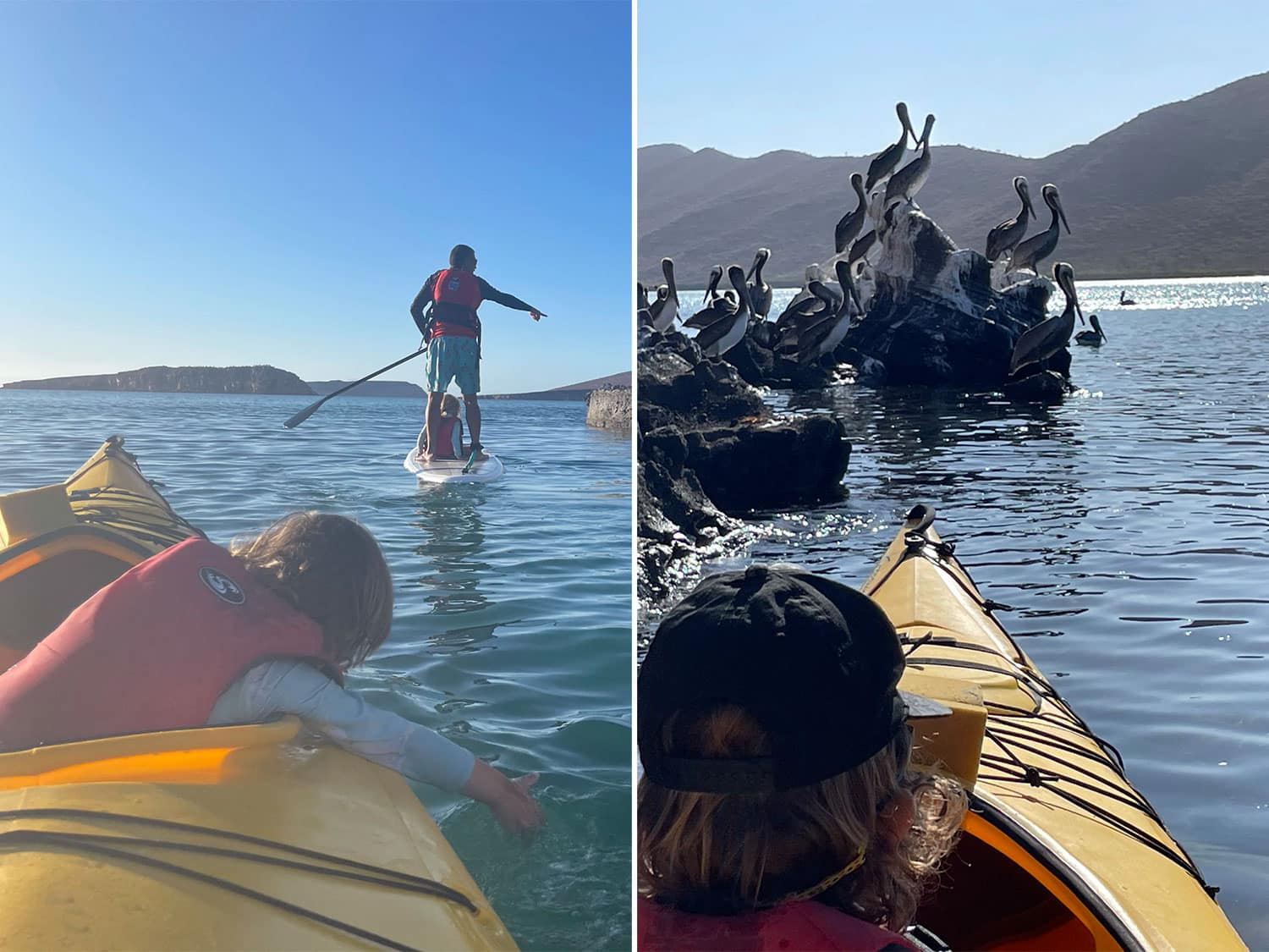 A family kayaks and paddleboards on the ocean.