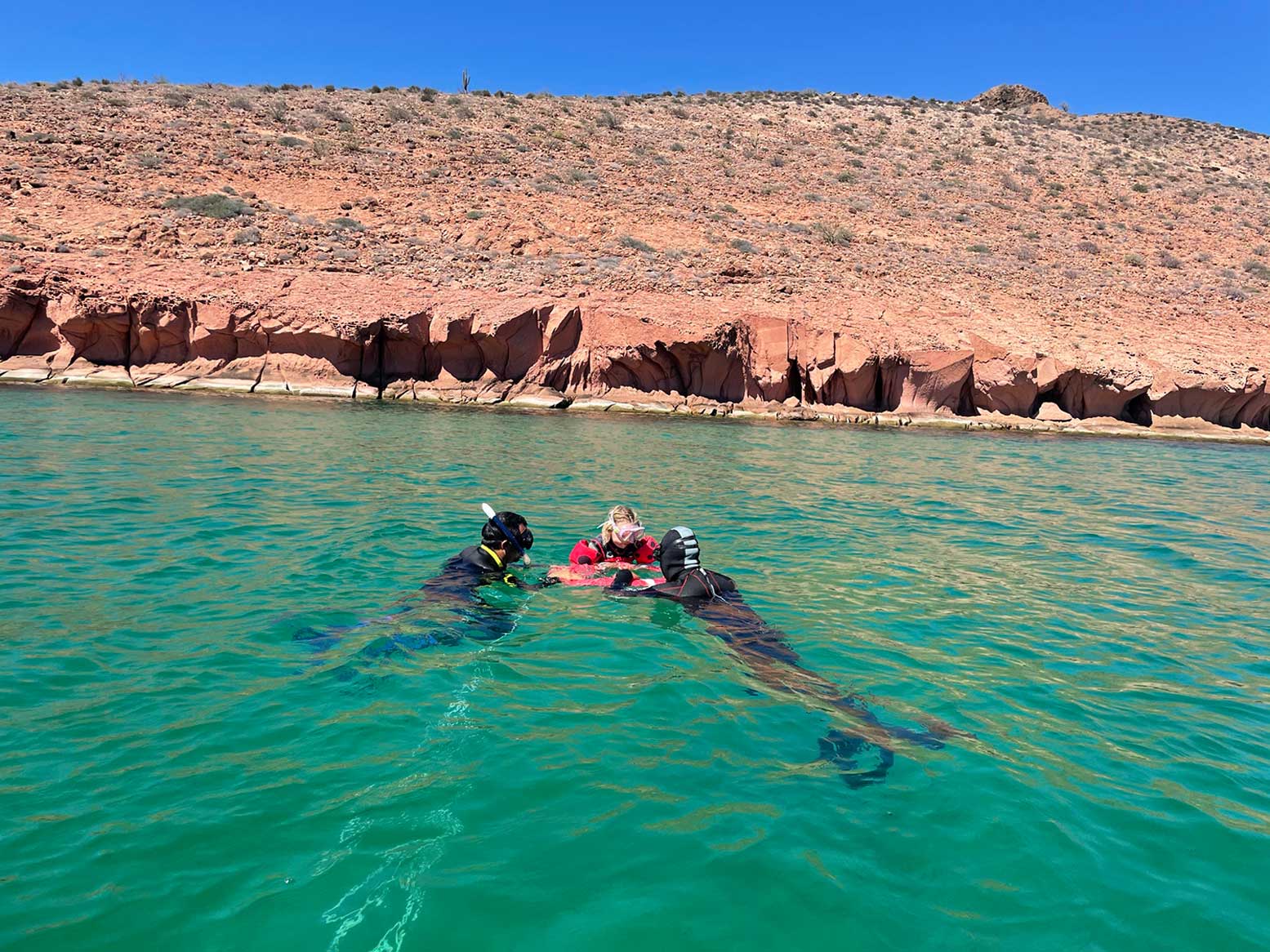 Scuba divers swimming with marine life.