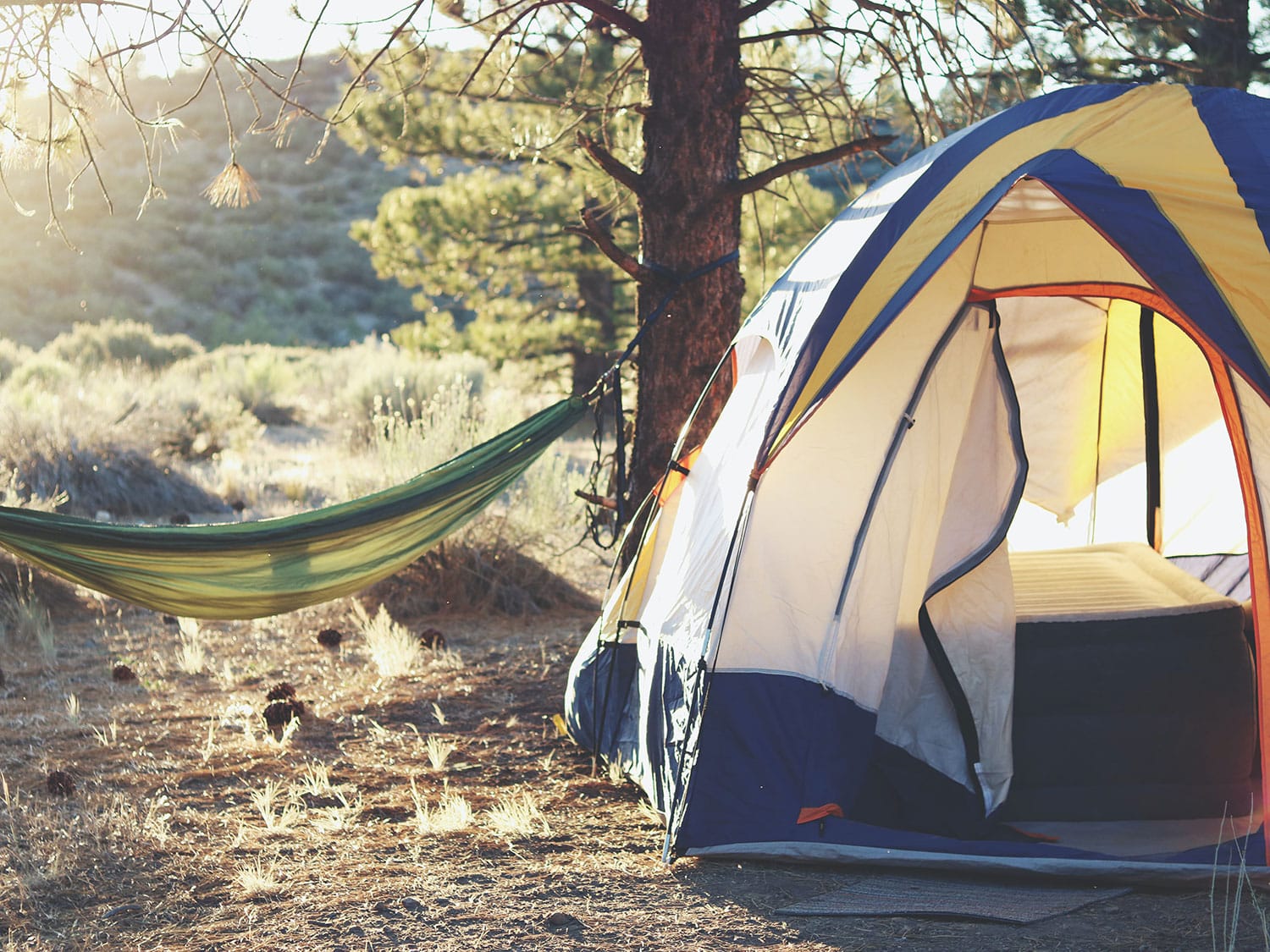 A camping tent and hammock.
