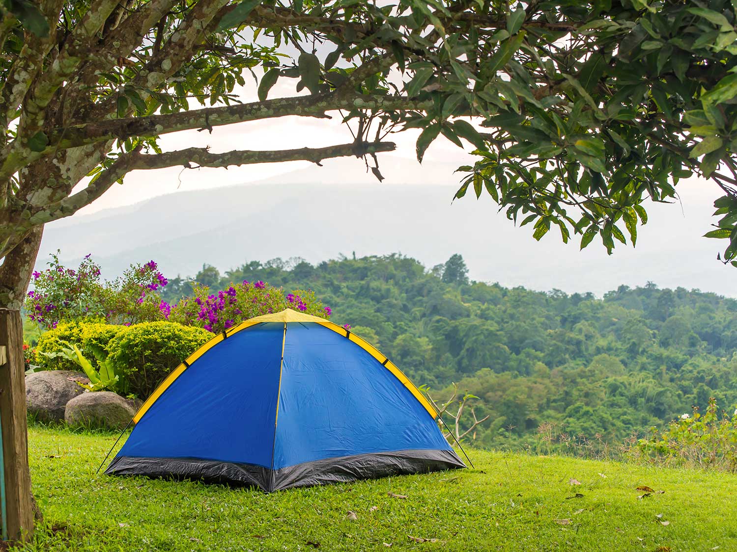 camping shutterstock