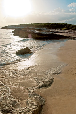 Thomas Cay