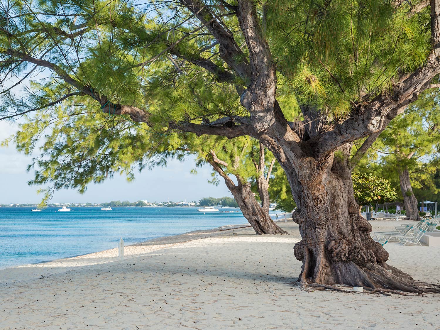 Seven Mile Beach