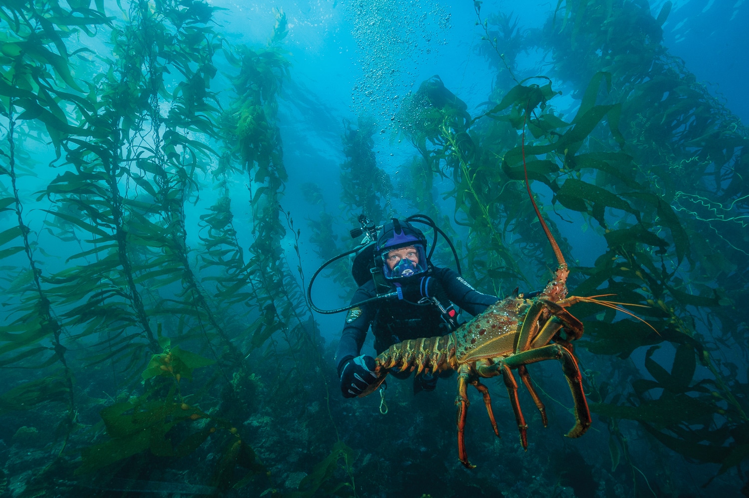 Best Island National Parks | CHANNEL ISLANDS NATIONAL PARK, CALIFORNIA