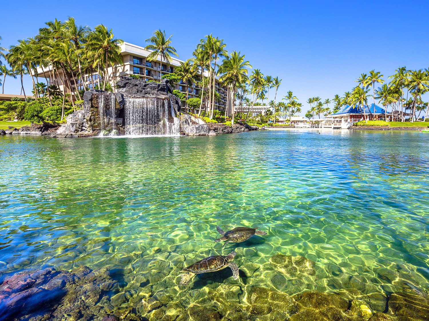 Cheap Hawaii Hotels and Resort - Hilton Waikoloa Village on the Big Island