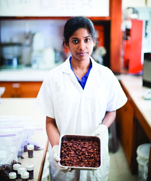 Naailah Ali at the Cocoa Research Unit