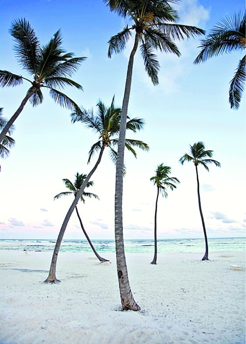All-Inclusive Resorts: Club Med Punta Cana, Dominican Republic, Caribbean