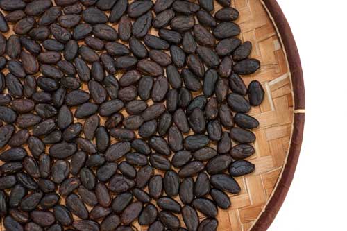 cocoa-beans.jpg