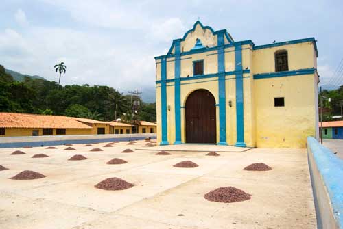 cocoa-drying-in-sun-venezuela.jpg