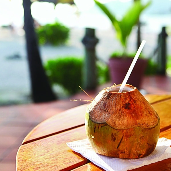 All-Inclusive Resorts: Palm Island, Grenadines, coconut
