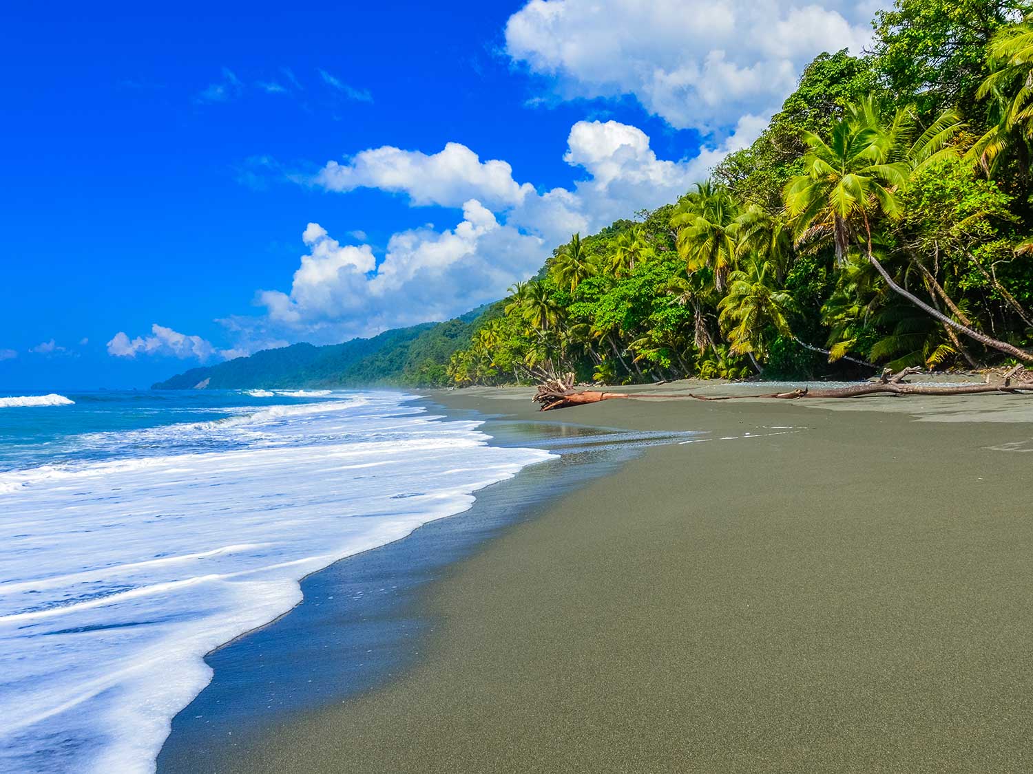Corcovado National Park shows off amazing scenery