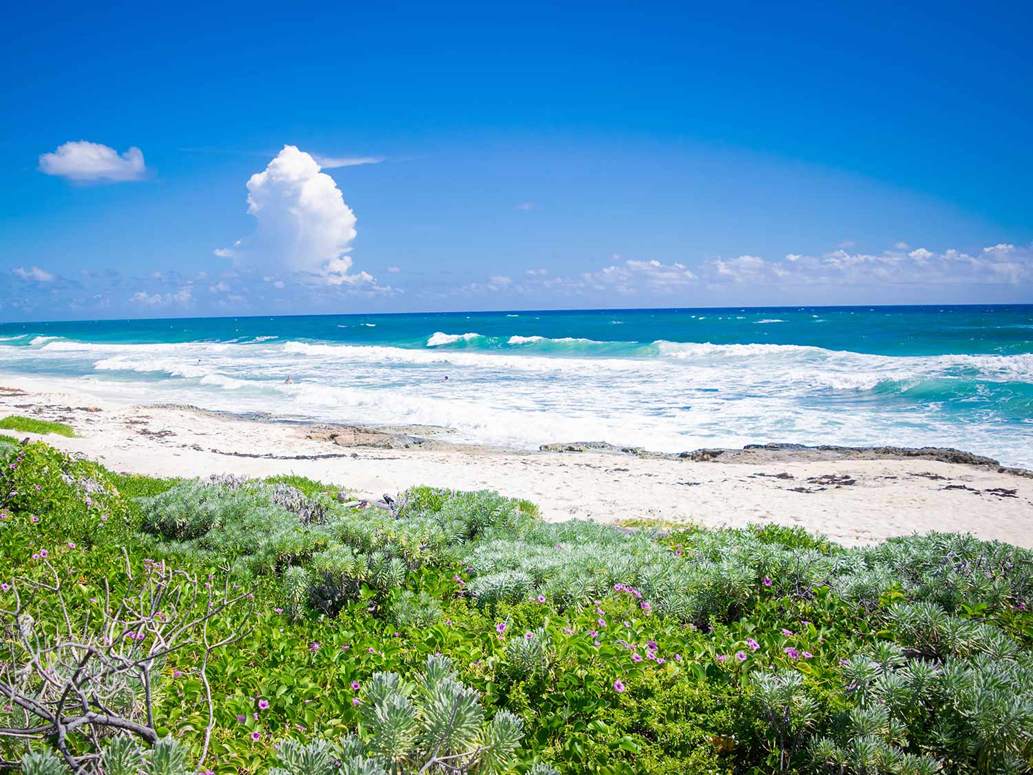 Cozumel beach